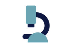 https://www.randstad.be