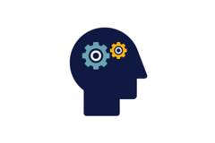 https://www.randstad.be
