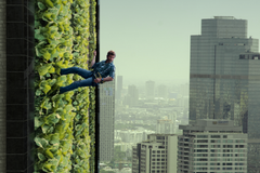https://www.randstad.be